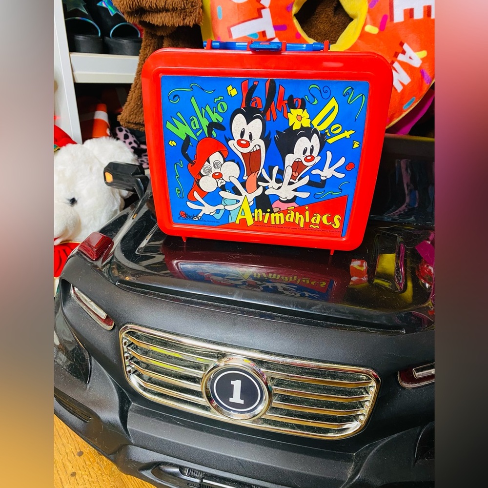 1994 animaniacs Aladdin lunchbox